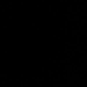 Meet your Posher, Ray